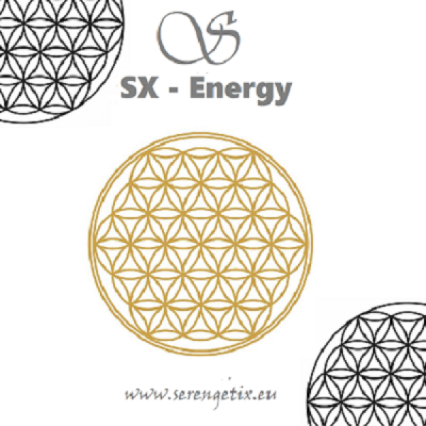 Fiore della Vita Oro 1511