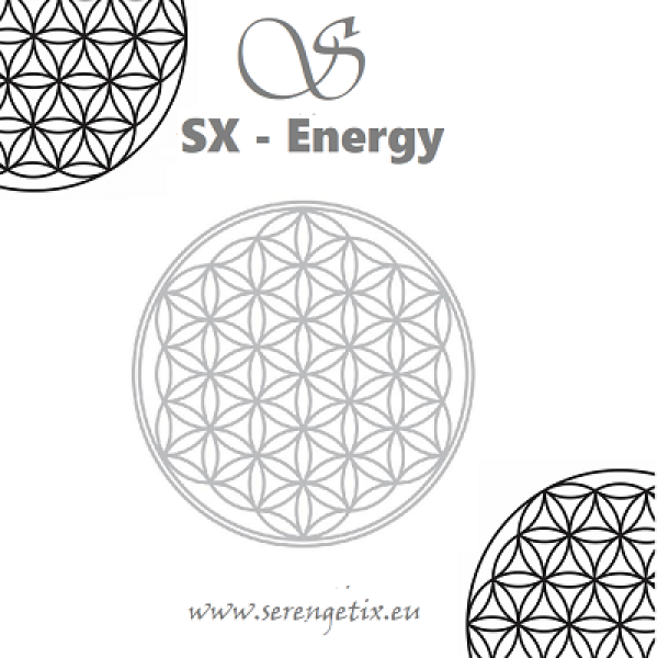 Flower of Life Silver 1510